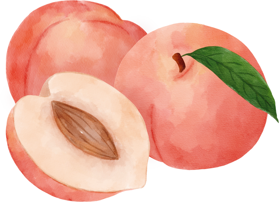 Peaches watercolor